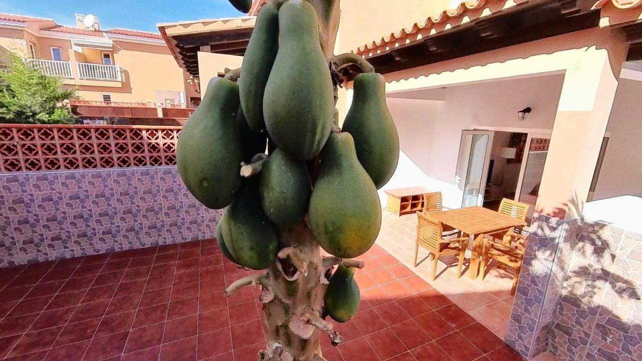 La Casa De La Papaya, By Comfortable Luxury Коралео Екстериор снимка